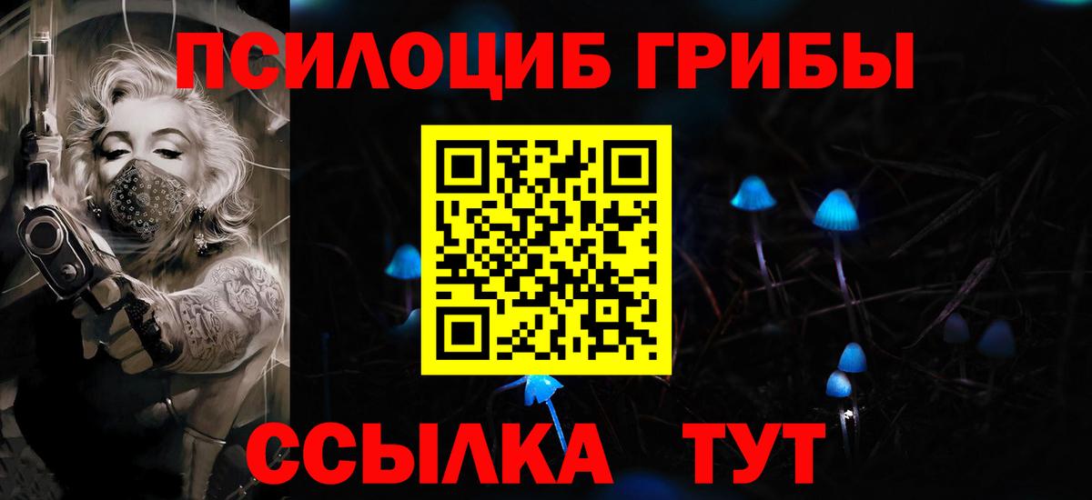 Галлюциногенные грибы MAGIC MUSHROOMS  Вход с VPN  Саранск 